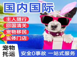 正定空运代理国际宠物托运 【国